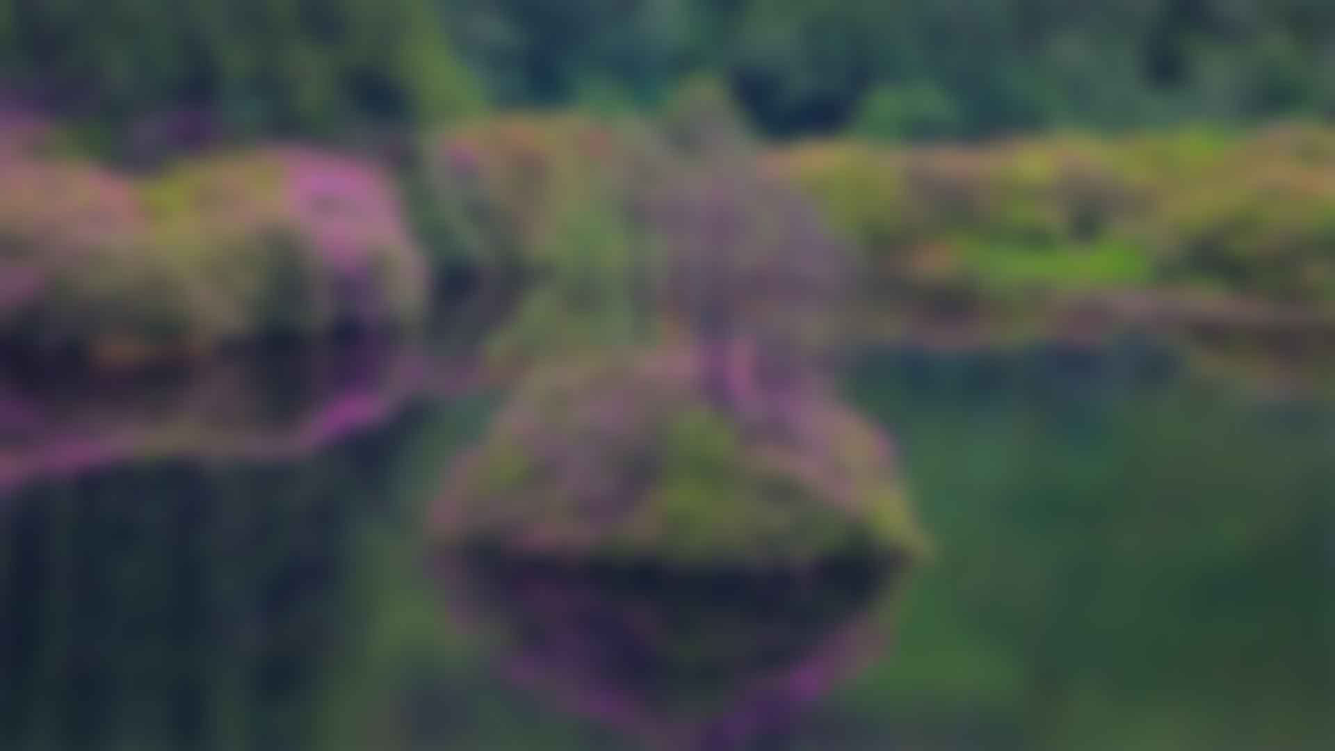 健身：拥抱健康与活力的生活方式