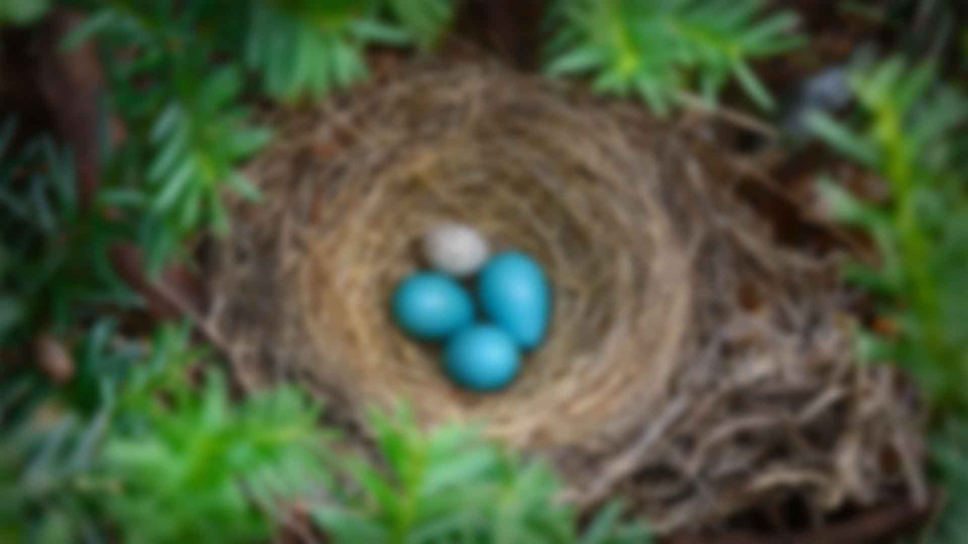 健身：拥抱健康与活力的生活方式